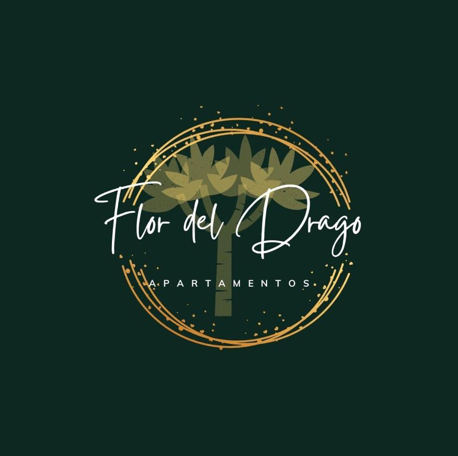 Flor Del Drago Apartment Icod De Los Vinos Luaran gambar