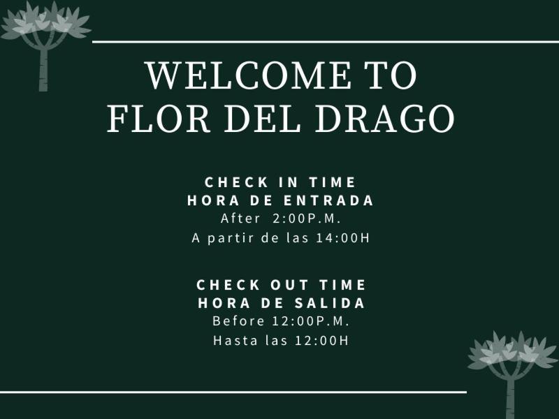 Flor Del Drago Apartment Icod De Los Vinos Luaran gambar